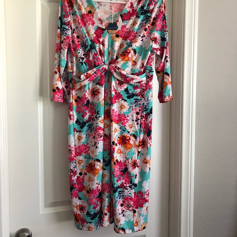 Pinkblush Maternity Dress Medium